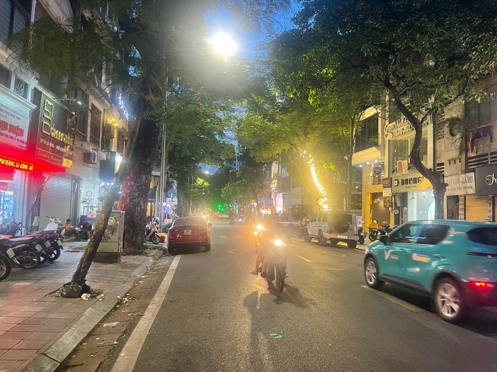 Bán nhà Lê Duẩn - diện tích 205m2 2 tầng - Mặt phố kinh doanh - giá 133 tỷ