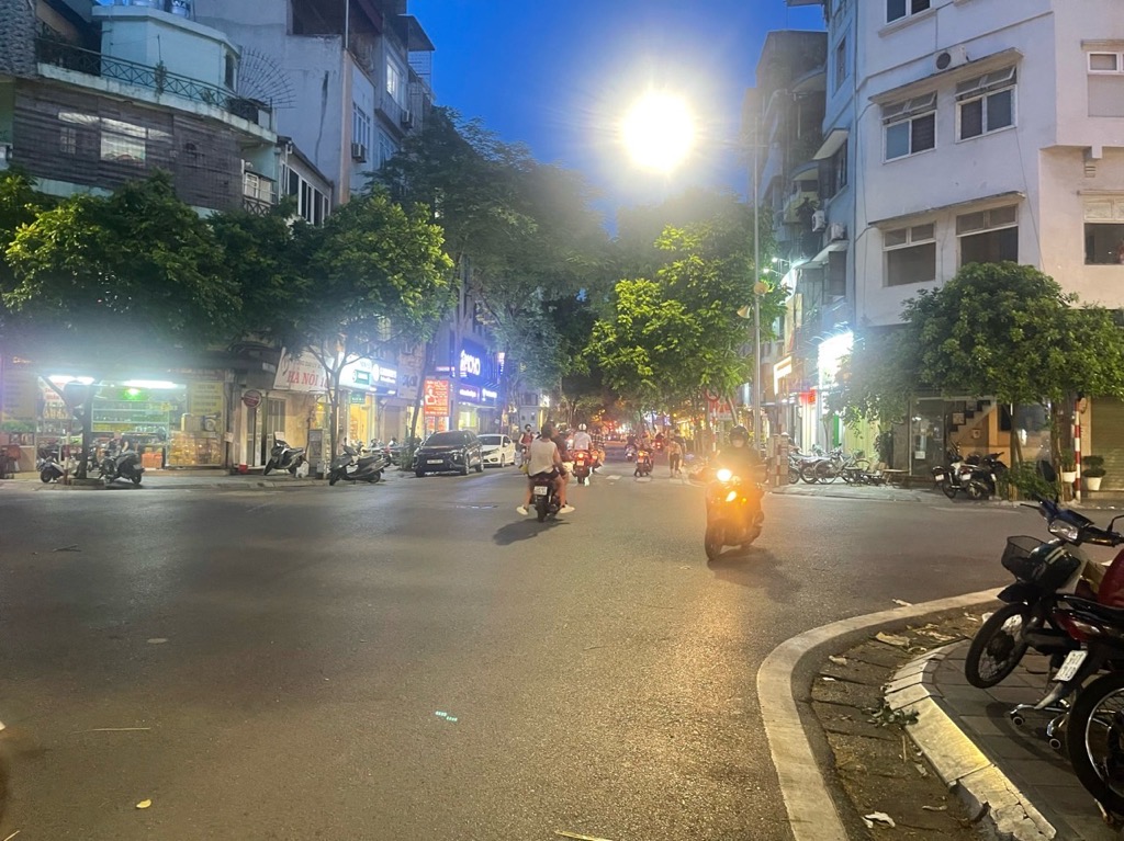 Bán nhà Lê Duẩn - diện tích 205m2 2 tầng - Mặt phố kinh doanh - giá 133 tỷ