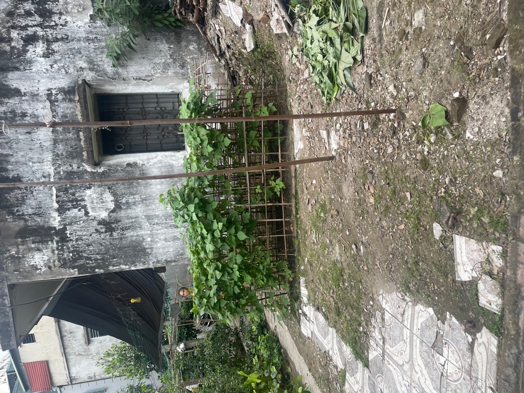 Bán nhà Giáp Nhị - diện tích 475,3m2 2 tầng - Lô góc 3 mặt thoáng - giá 85 tỷ