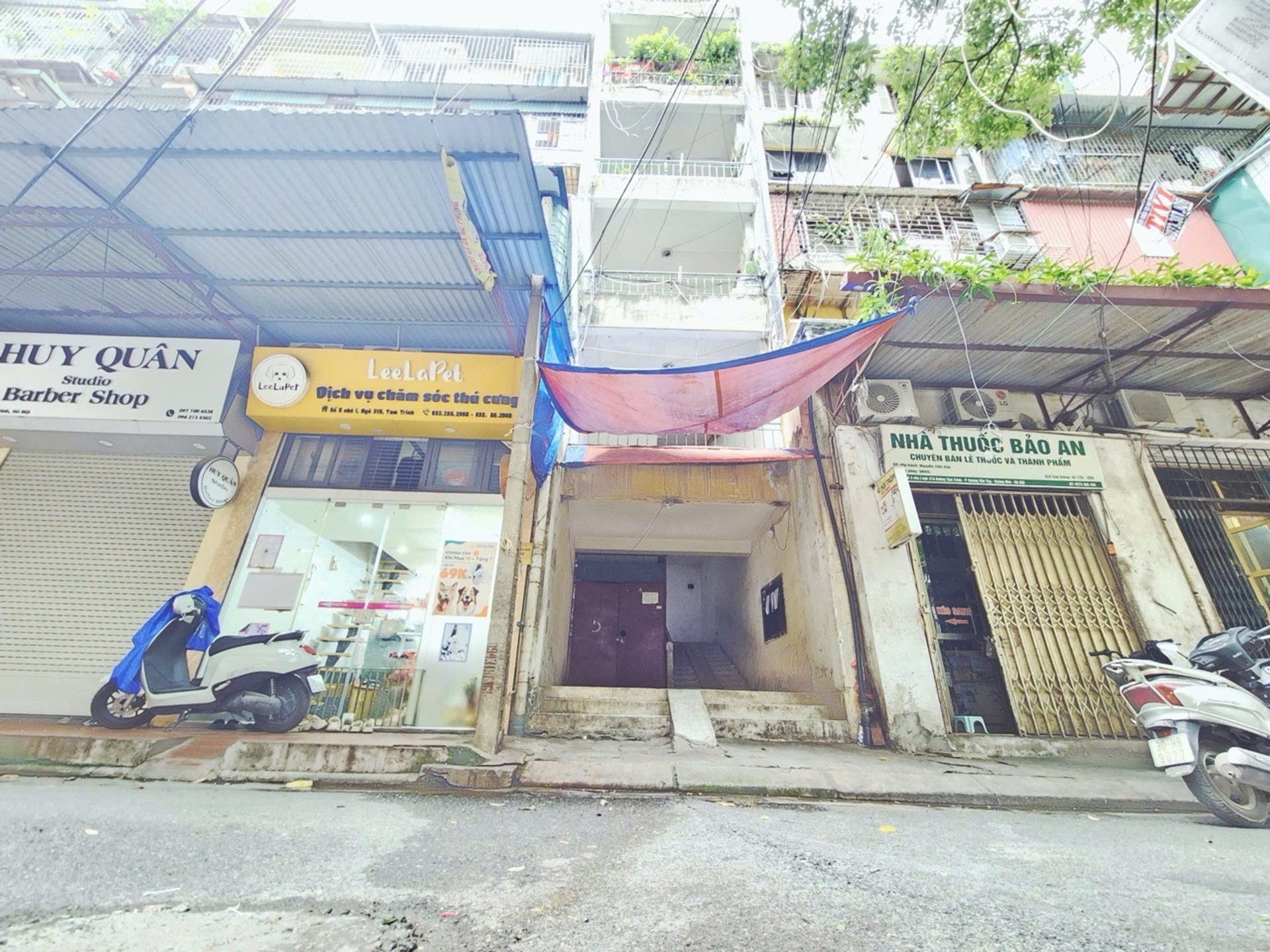Ảnh đại diện