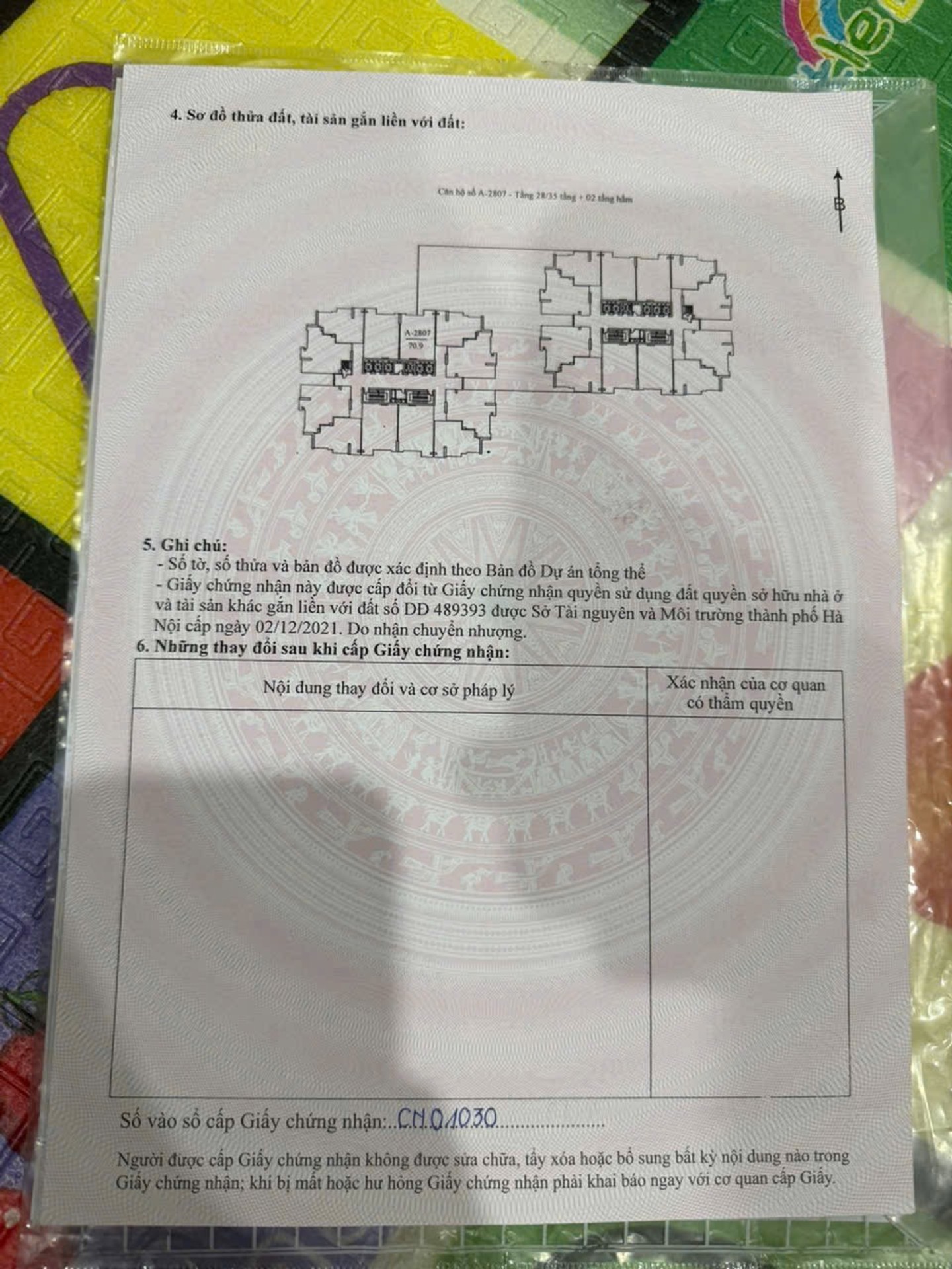 Ảnh đại diện