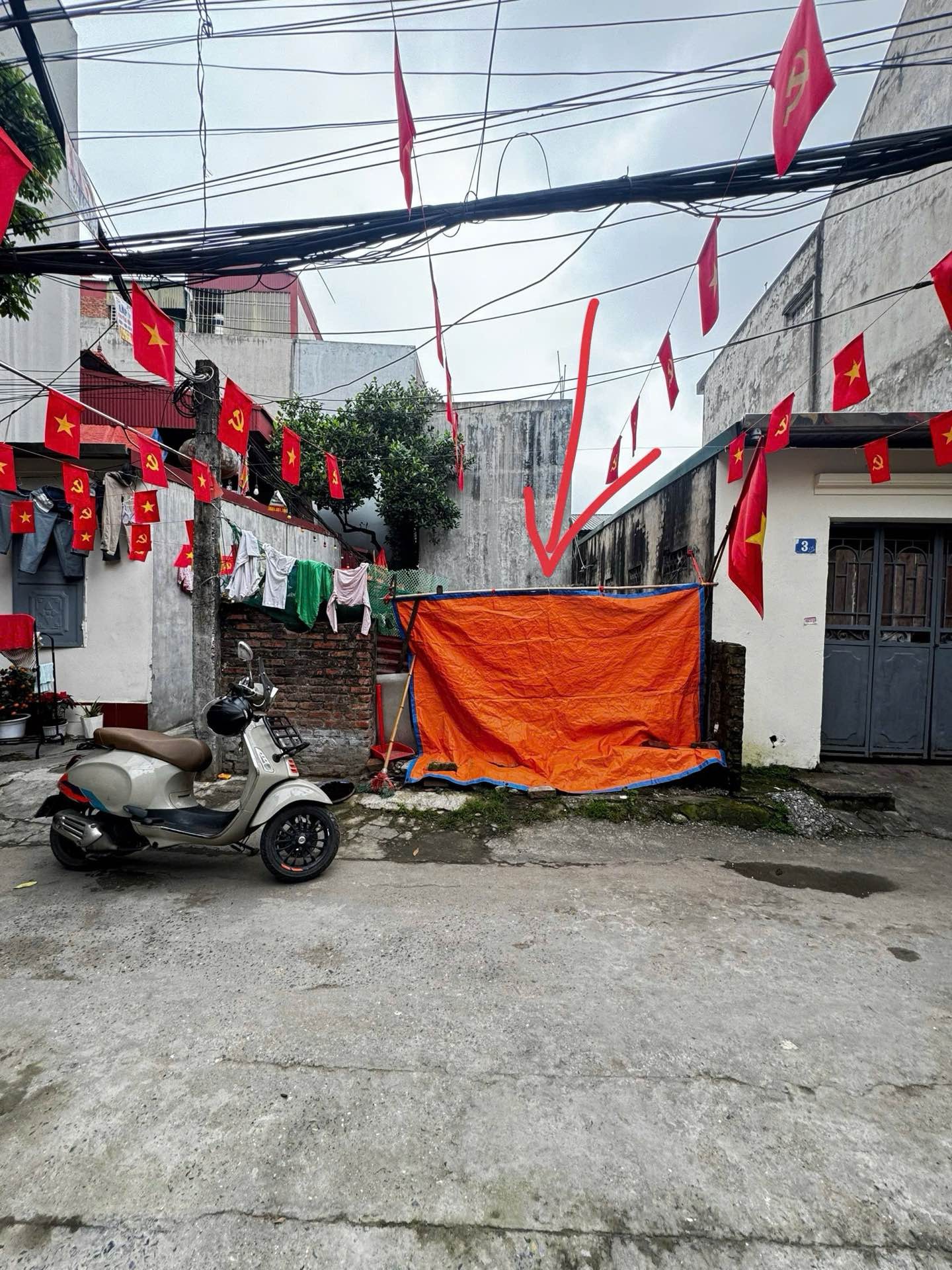 Ảnh đại diện