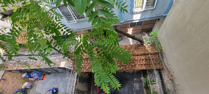 Bán nhà Trần Khát Chân - diện tích 88m2 5 tầng - Mặt ngõ thông - giá 25,5 tỷ