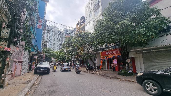 Bán nhà Tân Ấp - diện tích 343.8m2 3 tầng - Cặp đôi Biệt thự mặt phố - giá 30,6 tỷ