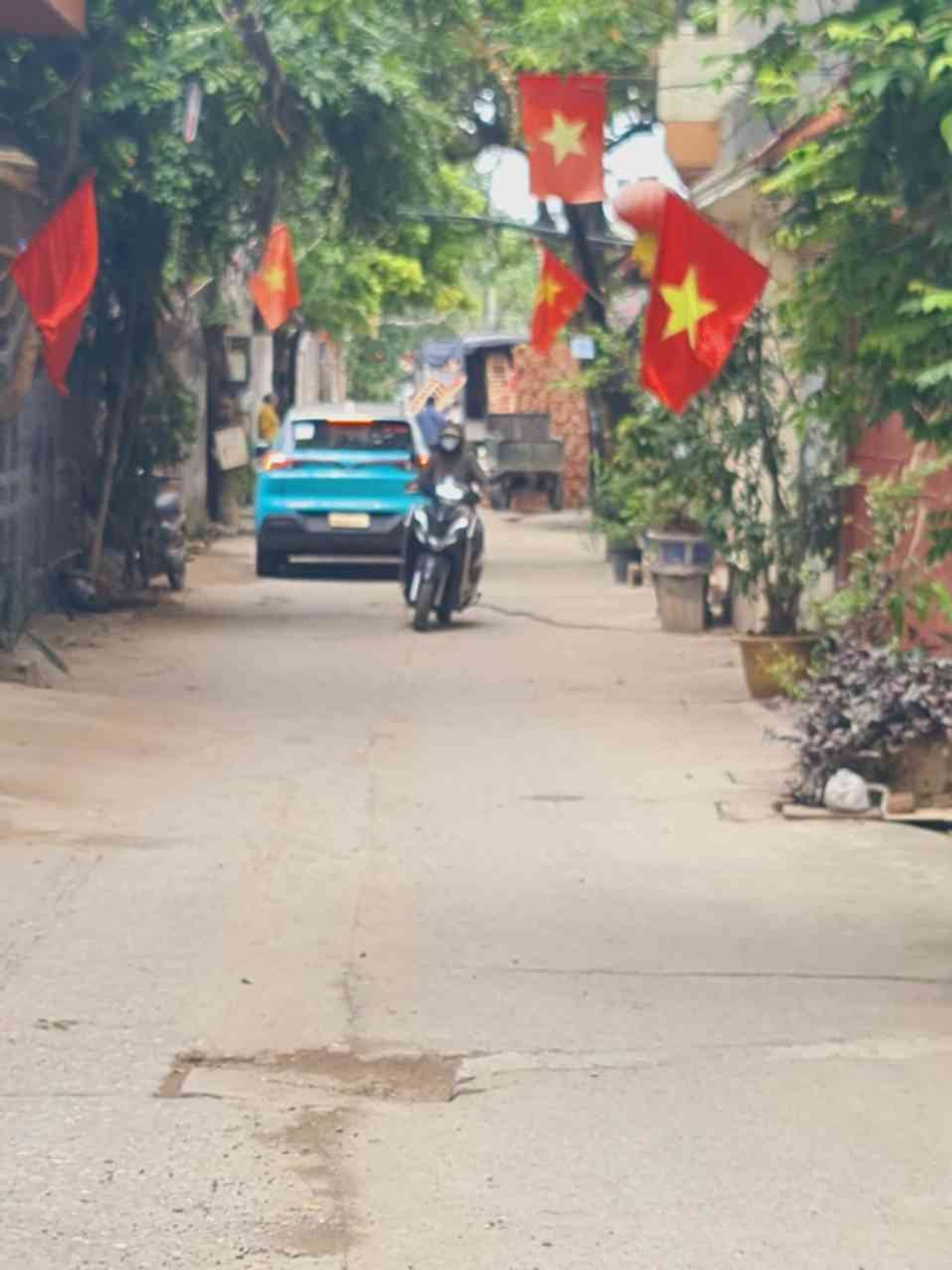 Ảnh đại diện
