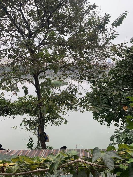 Bán nhà Xã Đàn 2 - diện tích 135m2 4 tầng - Cực hiếm mặt hồ - giá 50 tỷ