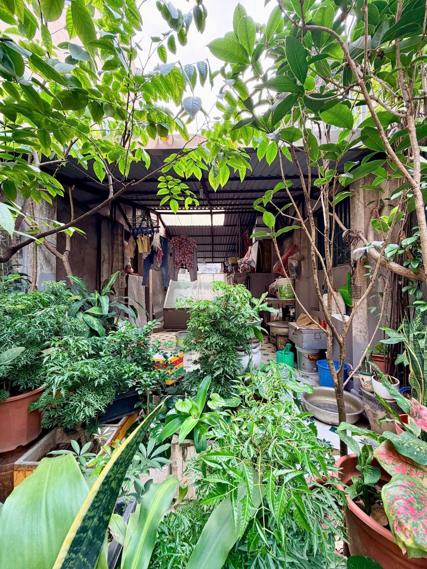 Bán nhà Đại Cồ Việt - diện tích 49,3m2 4 tầng - Hẻm xe máy - giá 25 tỷ