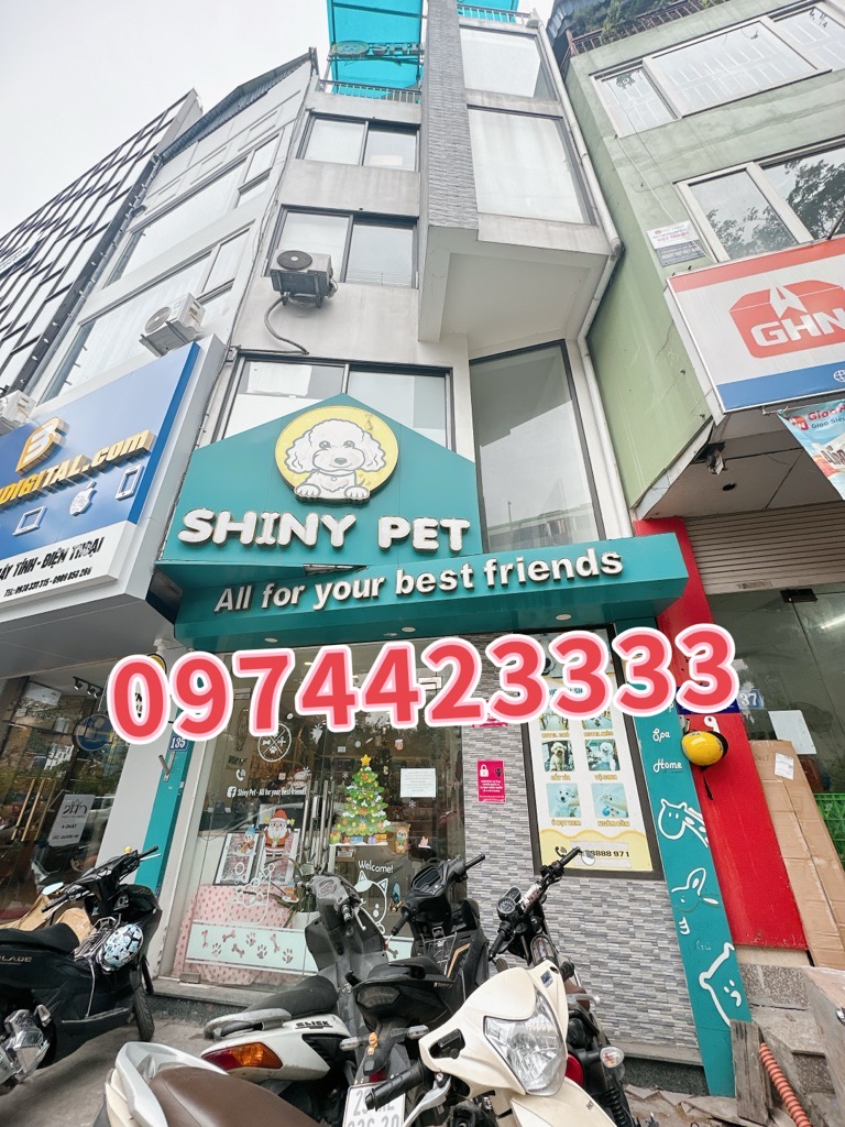 Bán nhà Hoàng Cầu - diện tích 54m2 5 tầng - 2 mặt ngõ - giá 27 tỷ