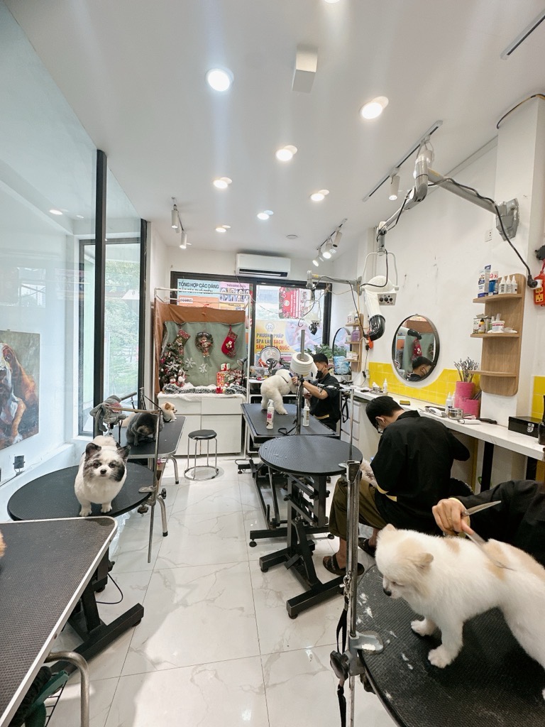 Bán nhà Hoàng Cầu - diện tích 54m2 5 tầng - 2 mặt ngõ - giá 27 tỷ