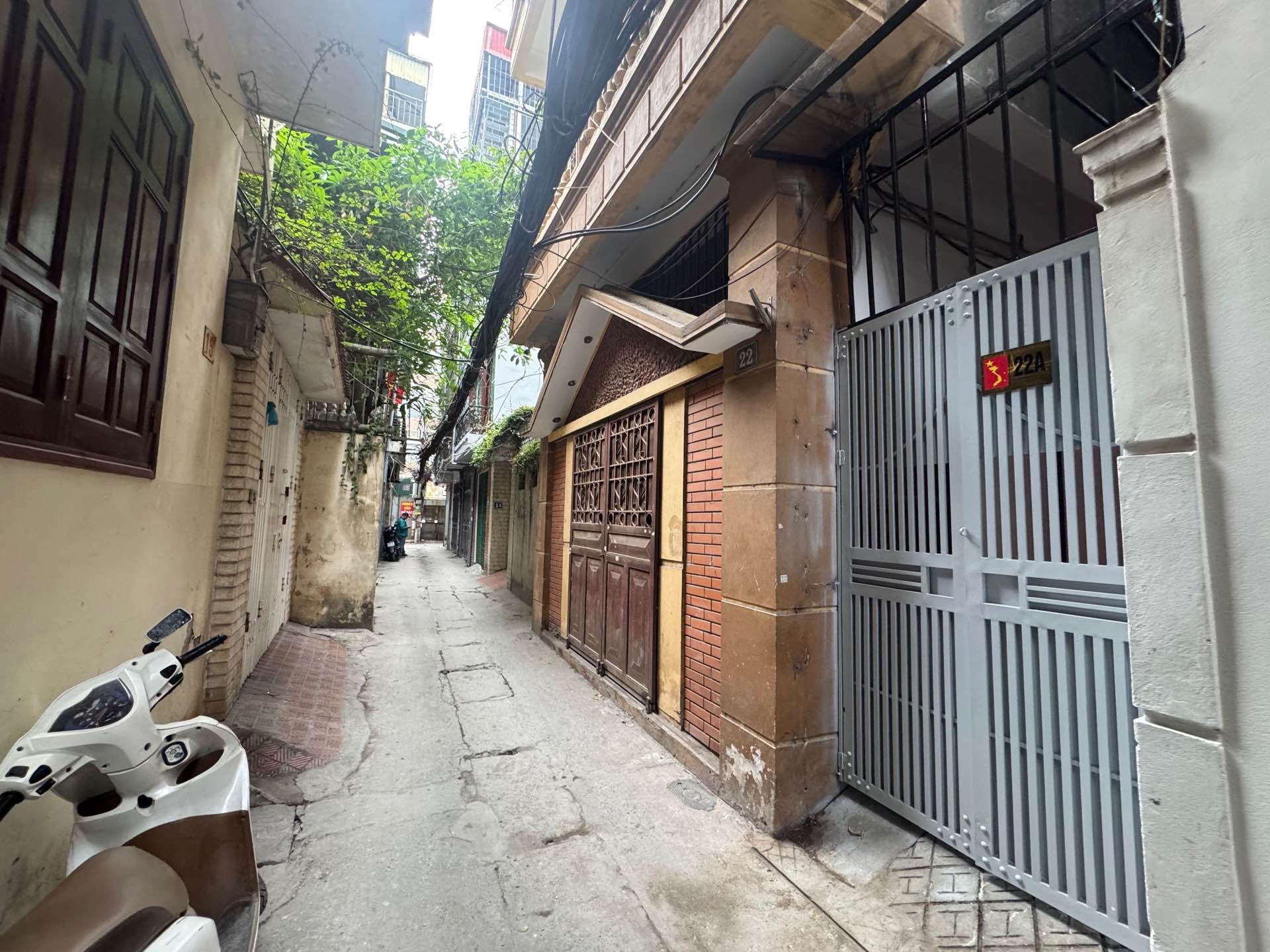 Ảnh đại diện
