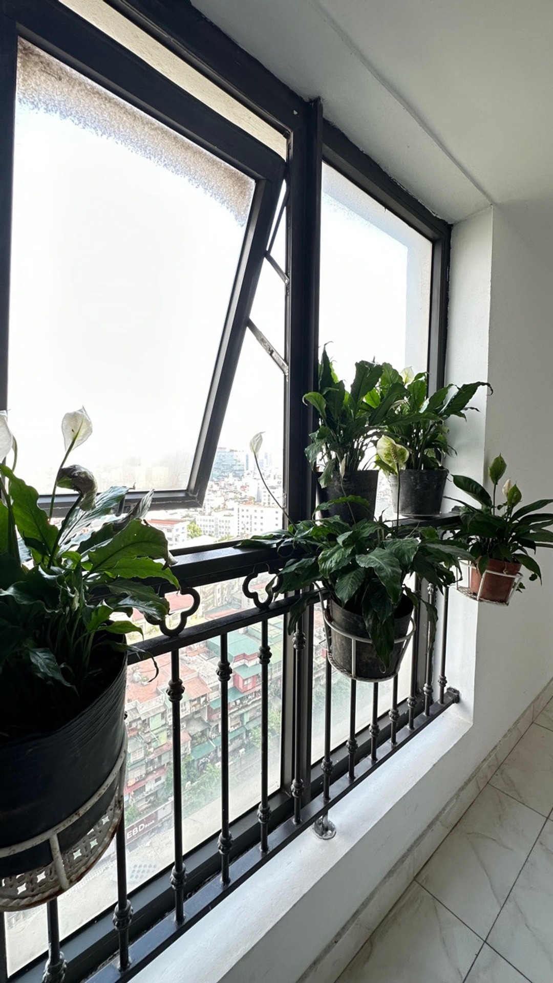 Bán nhà Giảng Võ - diện tích 84m2 1 tầng - Căn hộ chung cư D2 - giá 11,8 tỷ