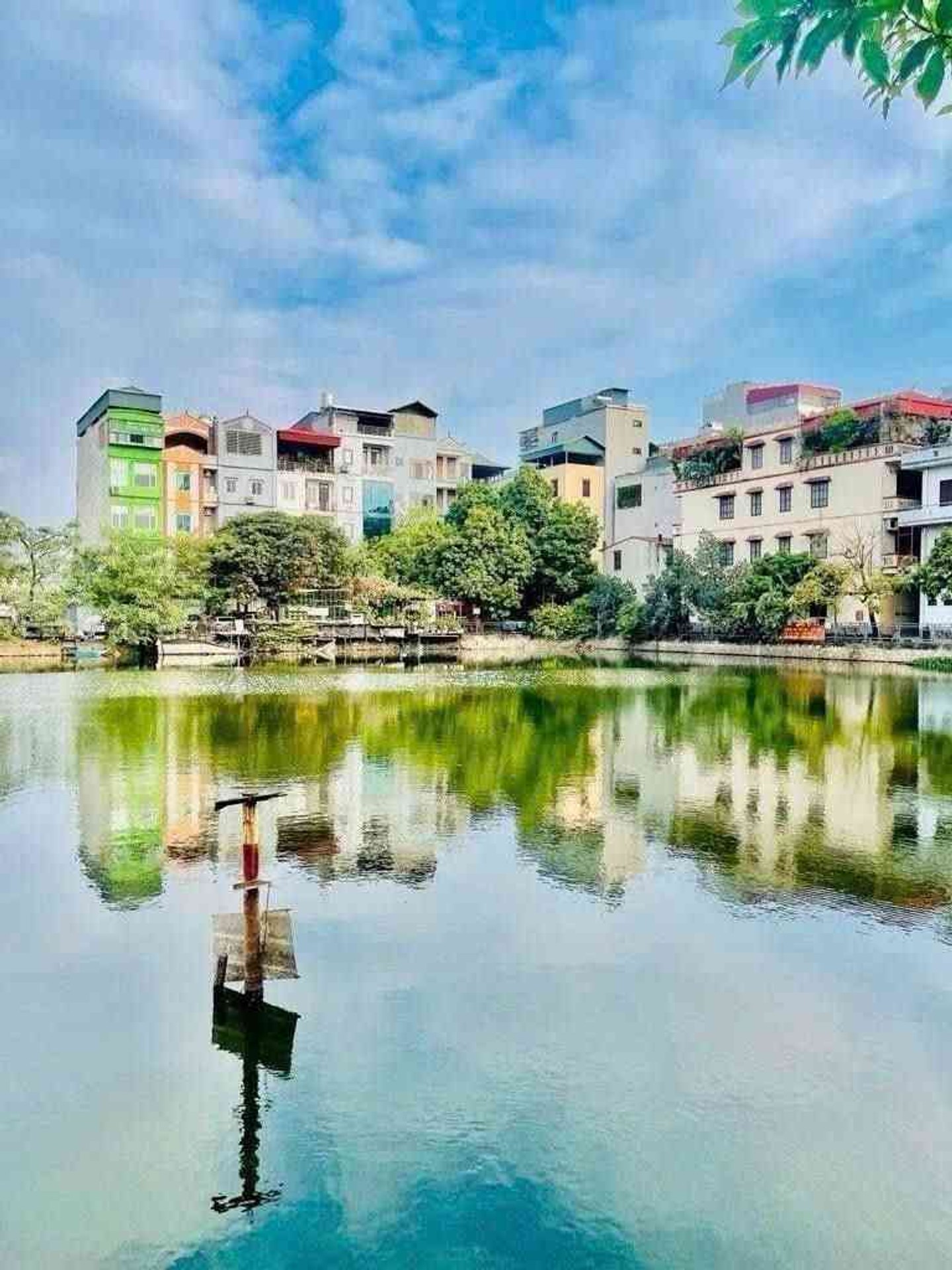 Ảnh đại diện