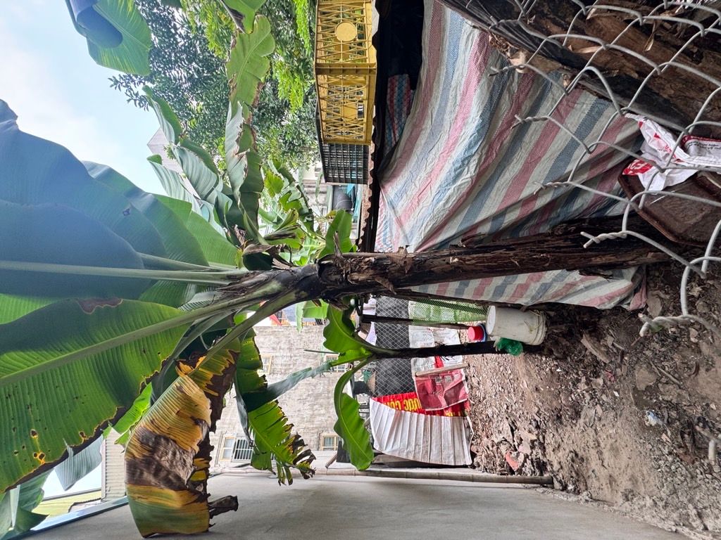 Bán nhà Khuyến Lương - diện tích 54m2 1 tầng - Ô tô tránh - giá 8,7 tỷ