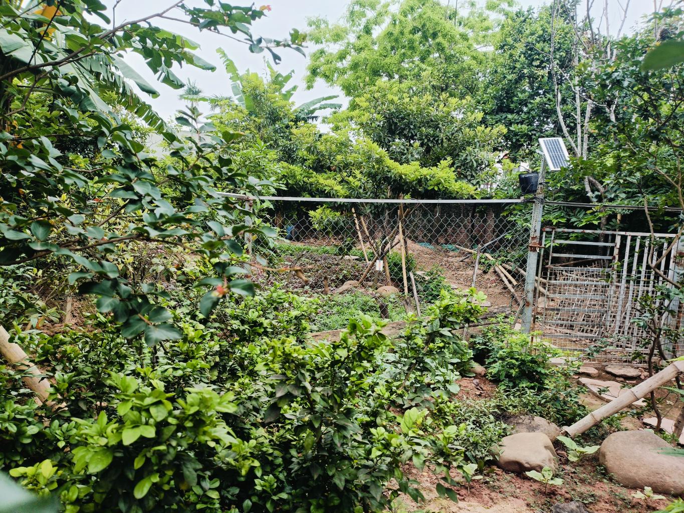 Bán nhà Đông Tảo - diện tích 2400m2 1 tầng - Lô góc - giá 47,3 tỷ