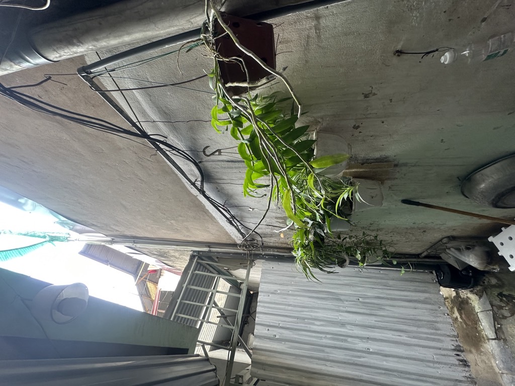 Bán nhà Lò Đúc - diện tích 220m2 1 tầng - Mặt phố trung tâm kinh doanh sầm uất - giá 122,55 tỷ