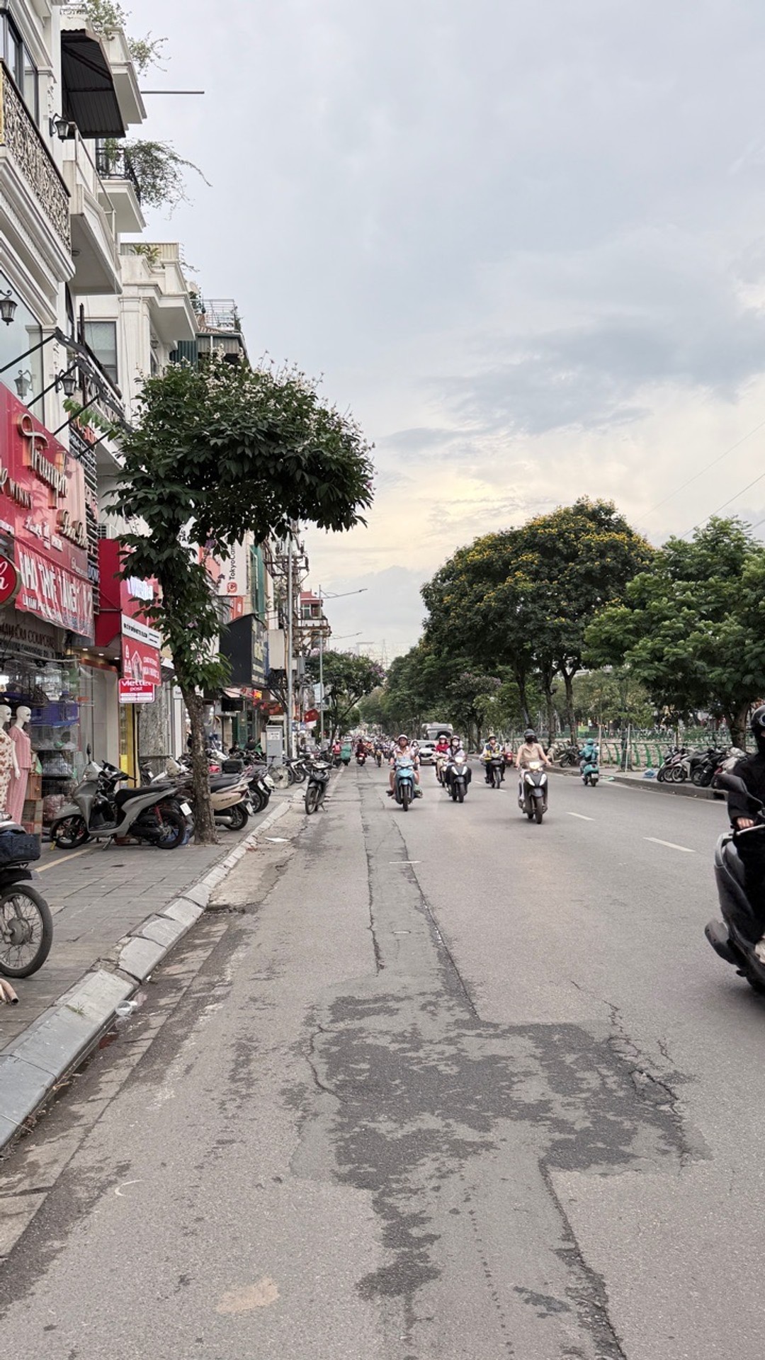 Ảnh đại diện