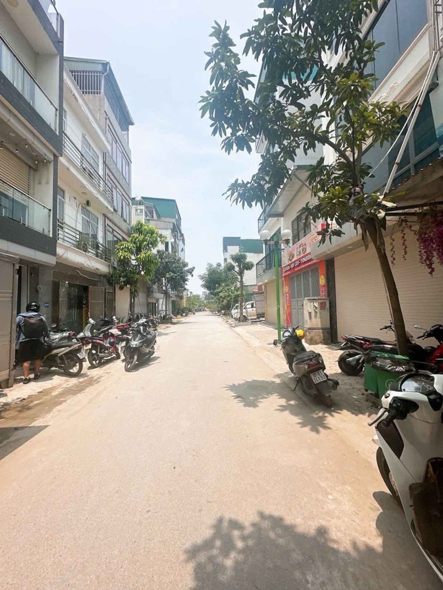 Ảnh đại diện