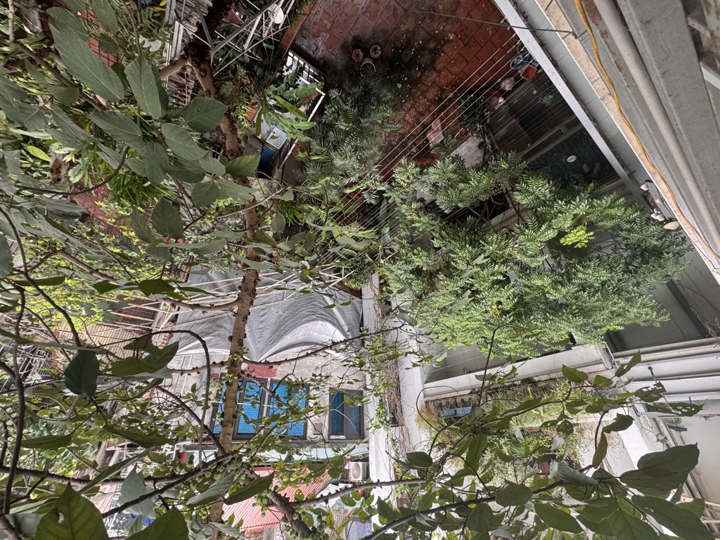 Bán nhà Đê Trần Khát Chân - diện tích 183m2 3 tầng - Nhà đẹp hiếm có - giá 25,8 tỷ