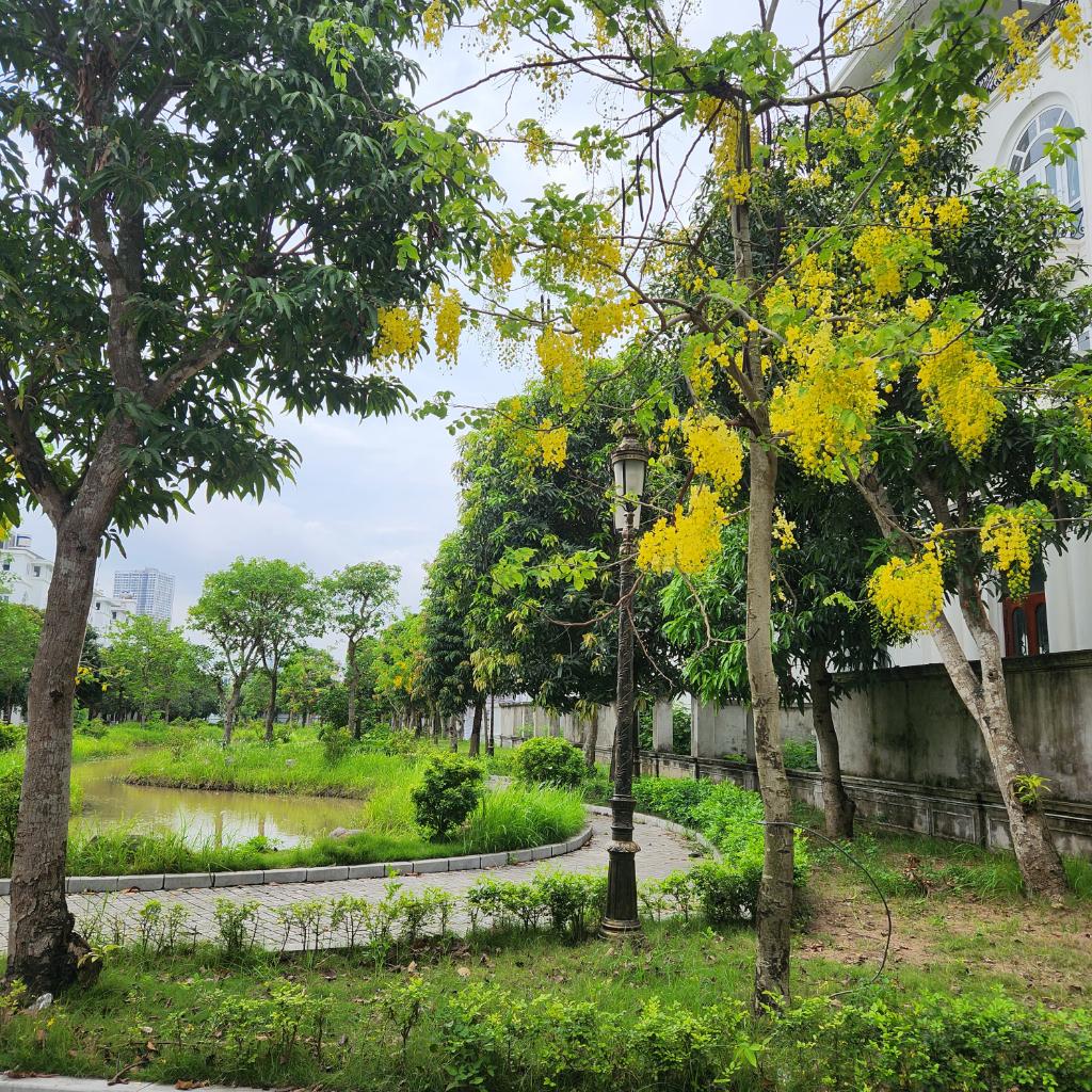 Bán nhà Lê Quang Đạo - diện tích 200m2 4 tầng - Biệt thự song lập xây thô - giá 52 tỷ