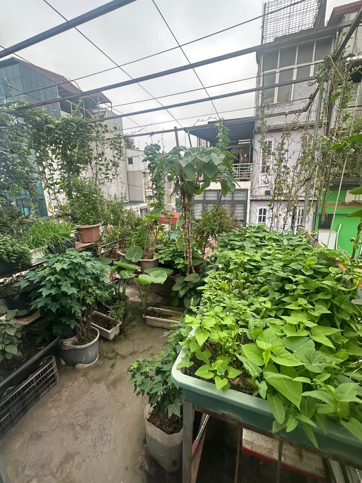 Bán nhà Chùa Vua - diện tích 46m2 5 tầng - Ngõ thông kinh doanh - giá Nhỉnh 15 tỷ
