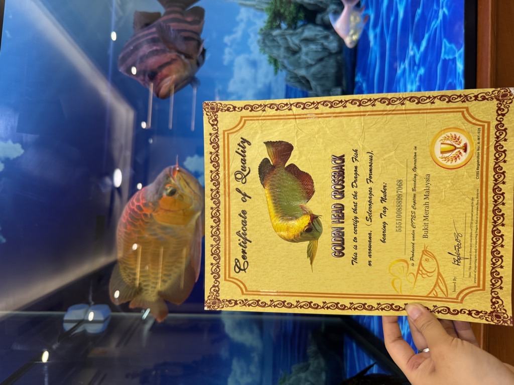 Bán nhà Giáp Nhất - diện tích 140m2 6 tầng - Ô TÔ ĐỖ CỬA - giá 39,2 tỷ