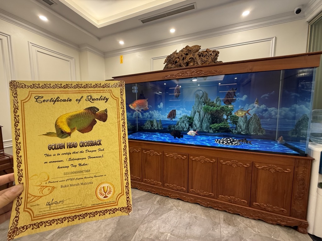 Bán nhà Giáp Nhất - diện tích 140m2 6 tầng - Ô TÔ ĐỖ CỬA - giá 39,2 tỷ