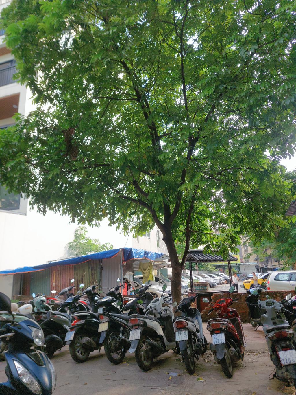 Bán nhà Nguyễn Trãi - diện tích 212m2 1 tầng - Lô góc 2 mặt tiền - giá 6,3 tỷ