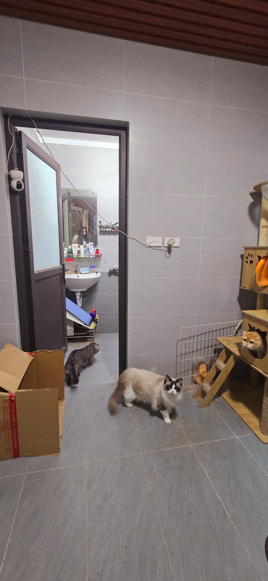 Bán nhà Mạc Thị Bưởi - diện tích 70m2 2 tầng - Ngõ ba gác tránh xe máy - giá 15 tỷ