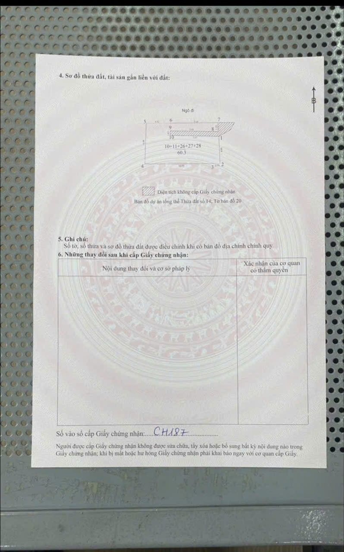 Ảnh đại diện