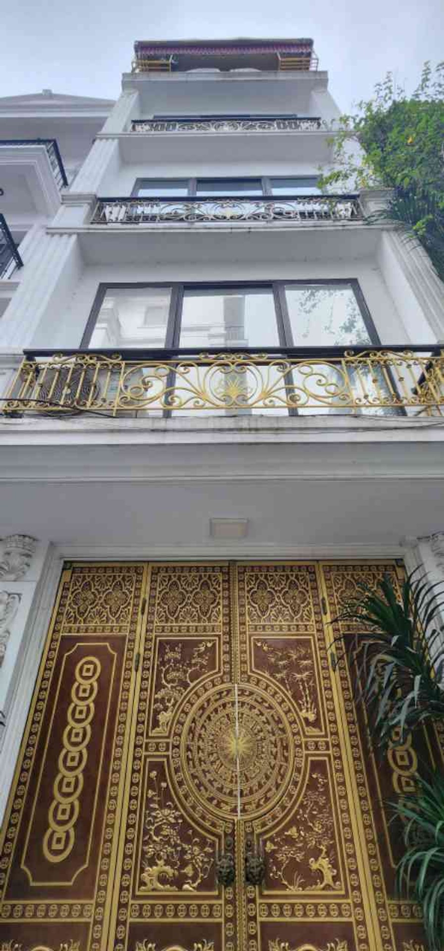 Ảnh đại diện