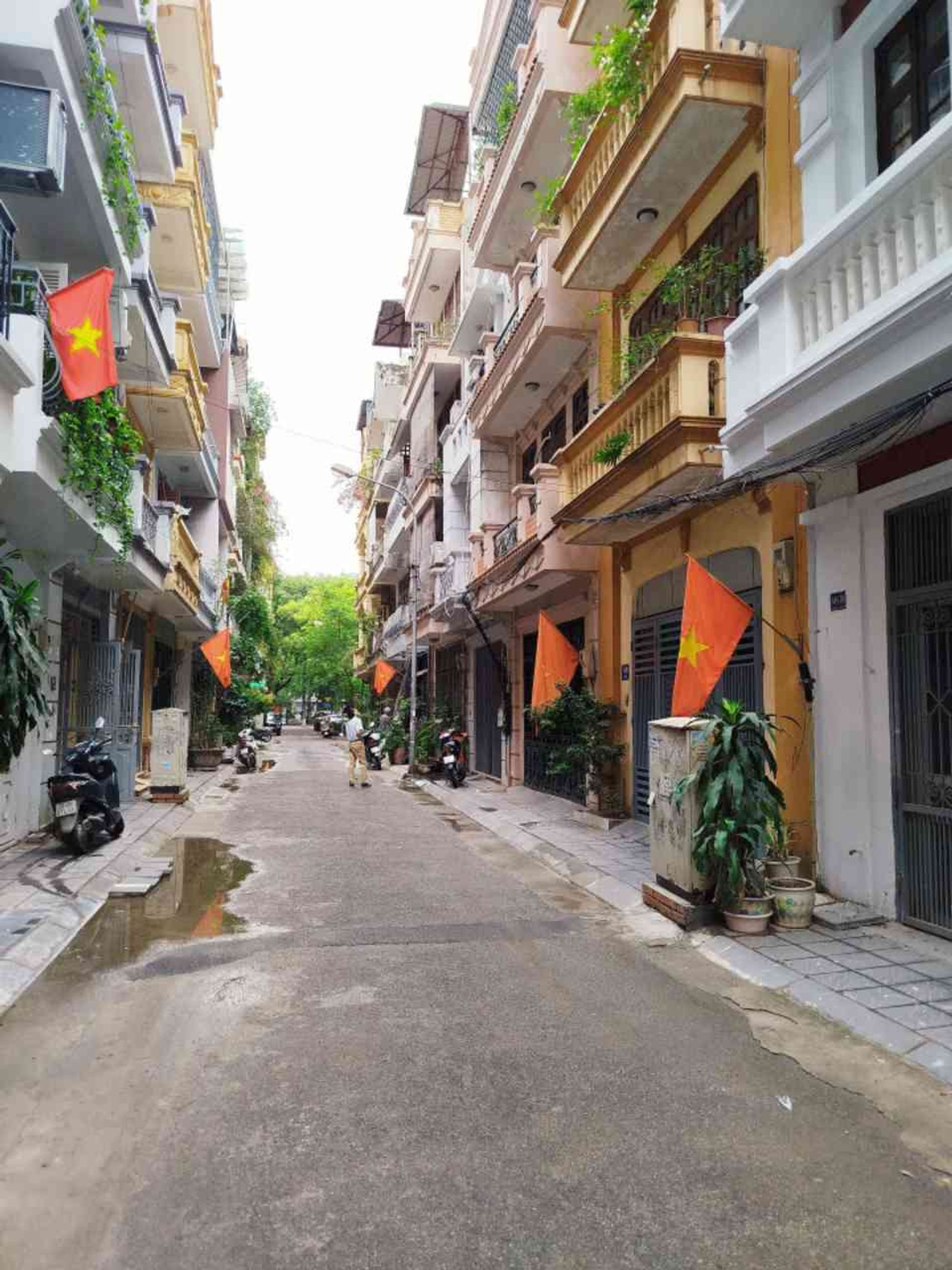 Ảnh đại diện