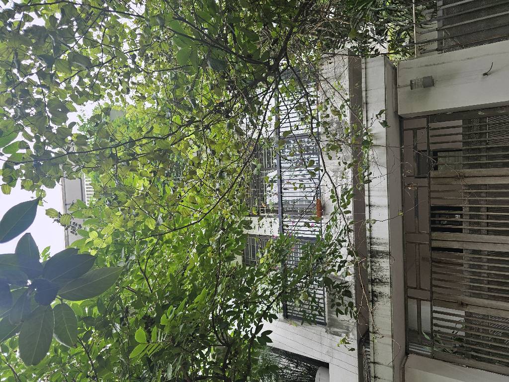 Bán nhà KĐT Ao Sào - diện tích 119.1m2 4 tầng - Lô góc siêu hiếm - giá 50 tỷ