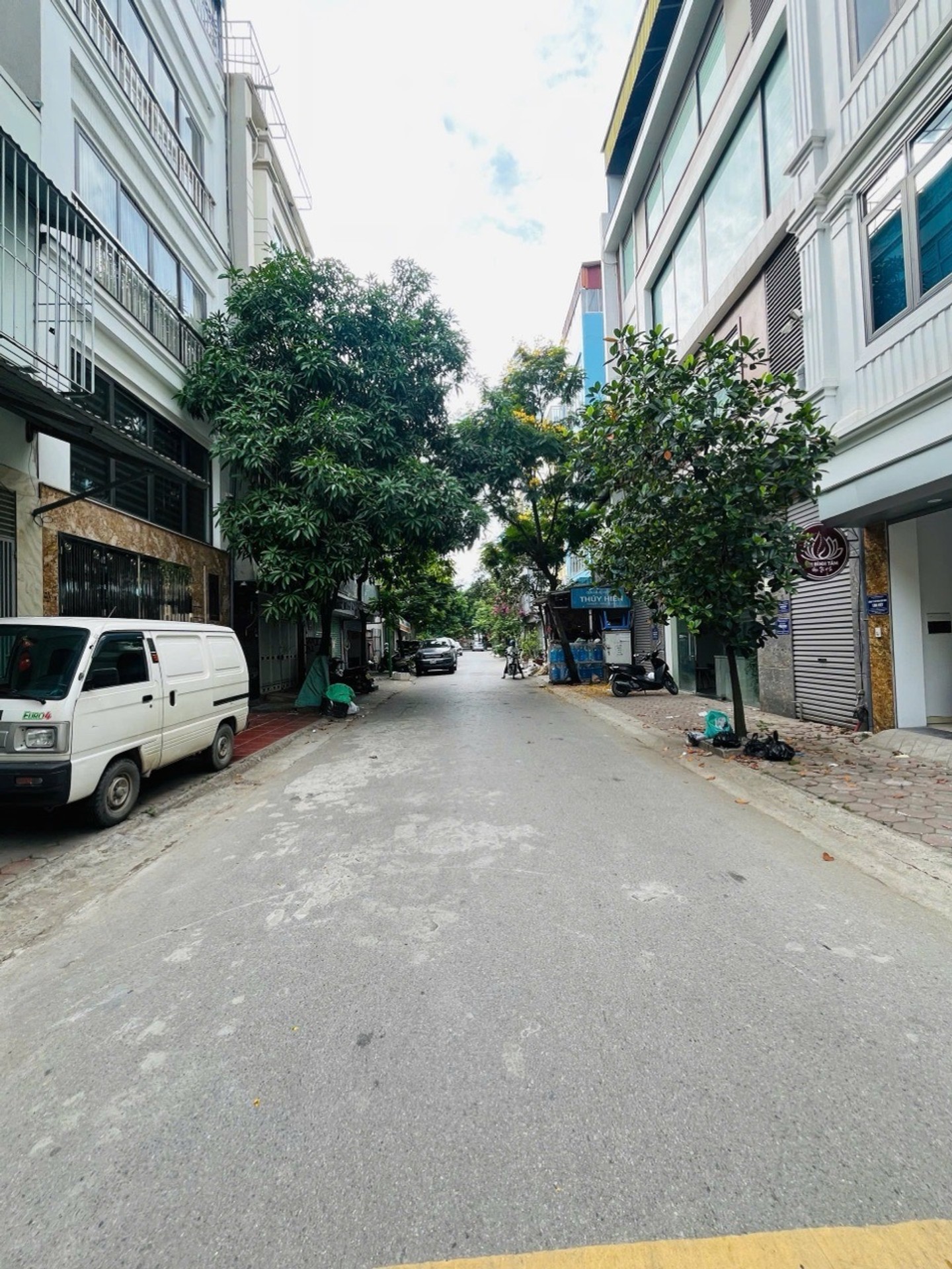 Ảnh đại diện