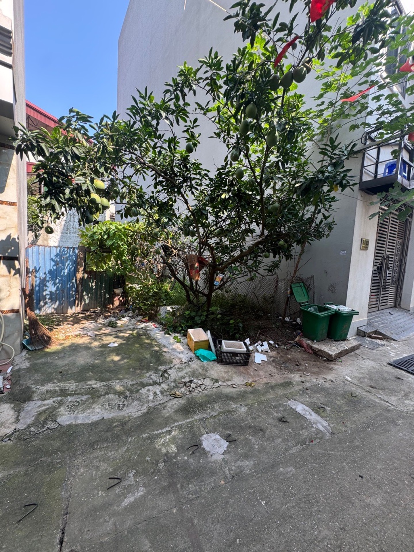 Ảnh đại diện