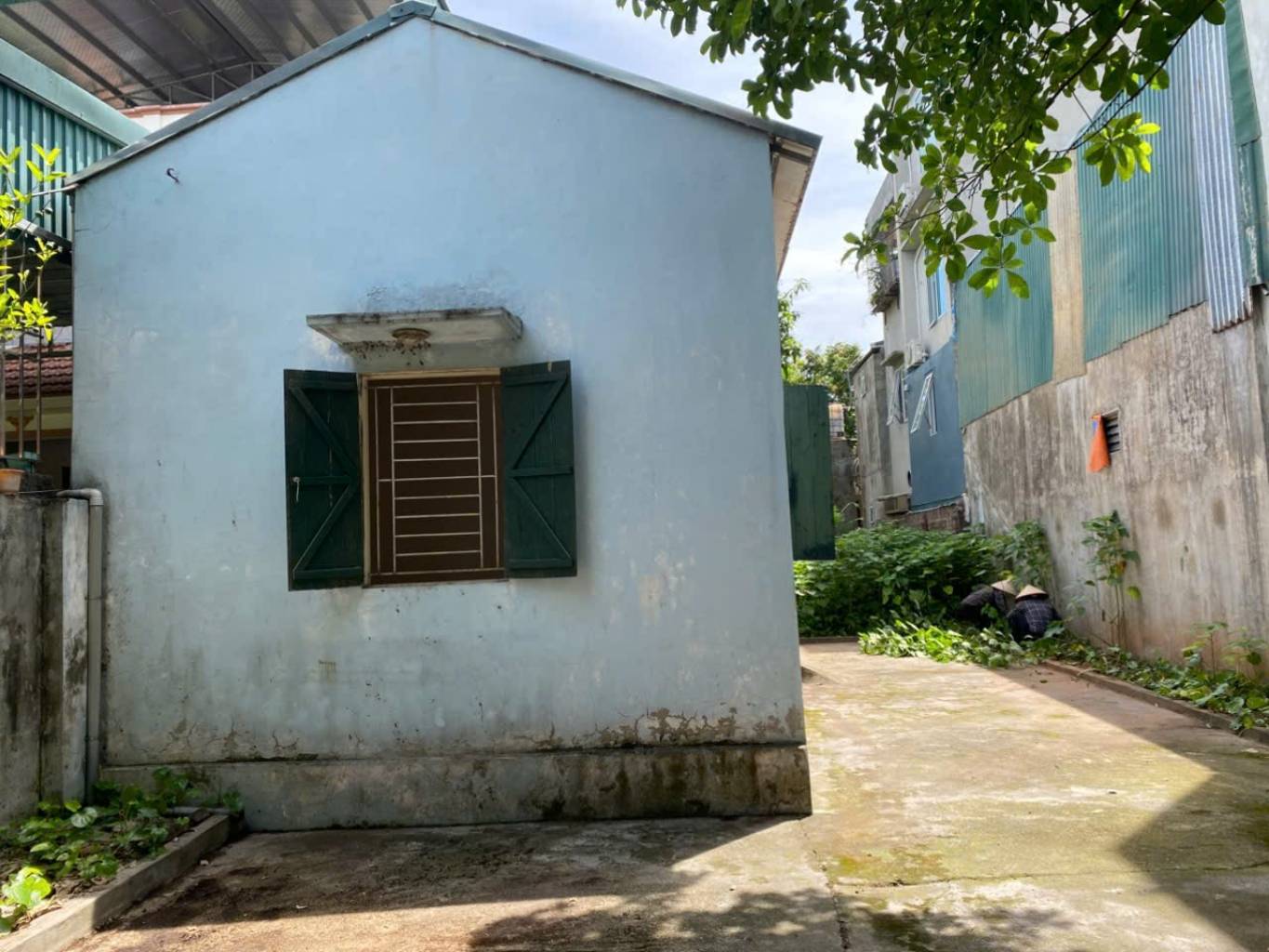 Bán nhà Thúy Lĩnh - diện tích 224m2 1 tầng - ô tô vào trong nhà - giá 23,6 tỷ