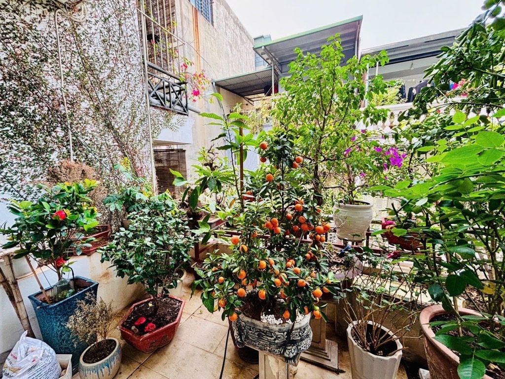 Bán nhà Lạc Trung - diện tích 92m2 5 tầng - Phân lô ô tô - giá 29,5 tỷ