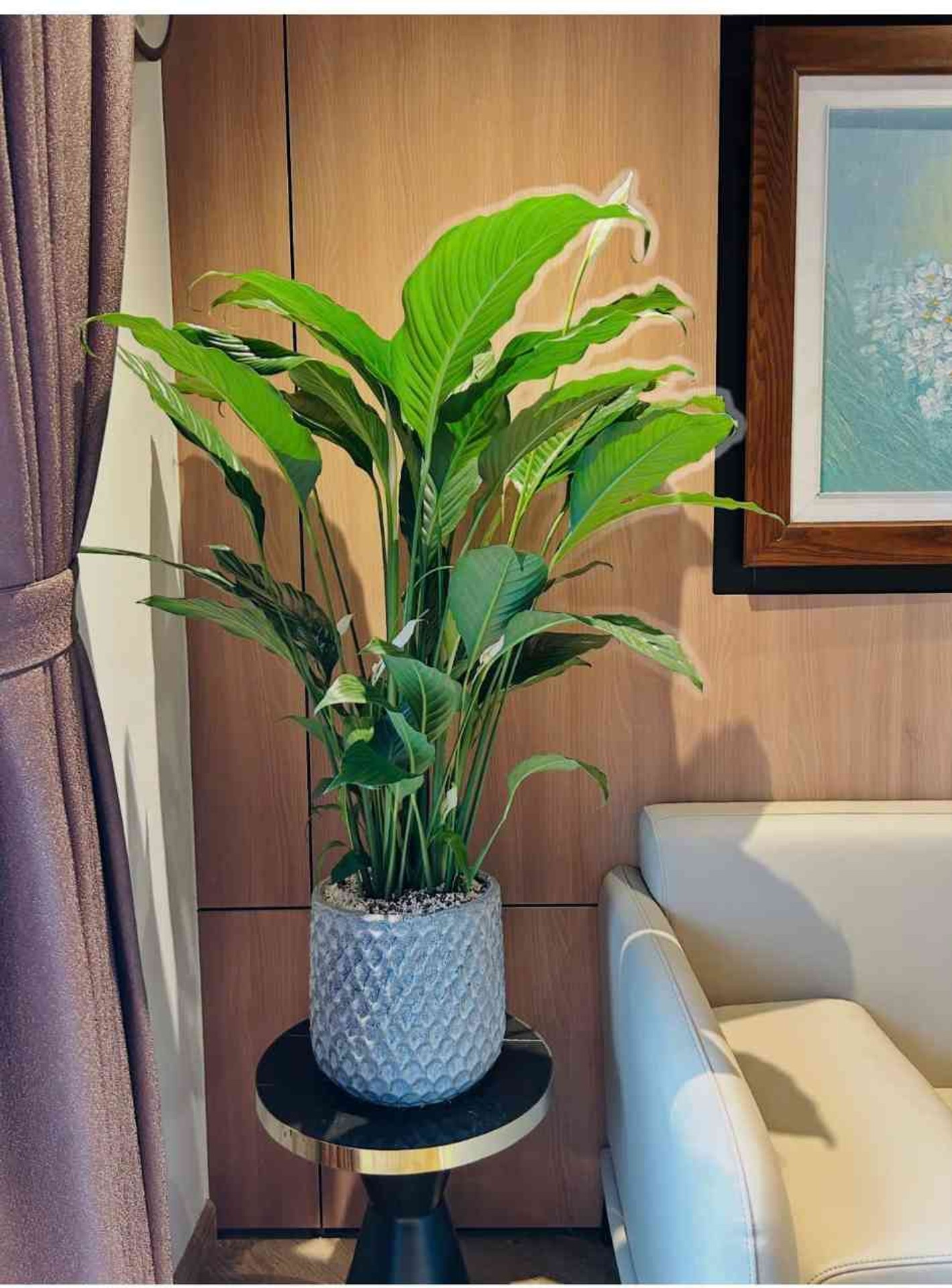 Bán nhà Nguyễn Tuân - diện tích 101m2 28 tầng - Căn góc full kính - giá 12 tỷ