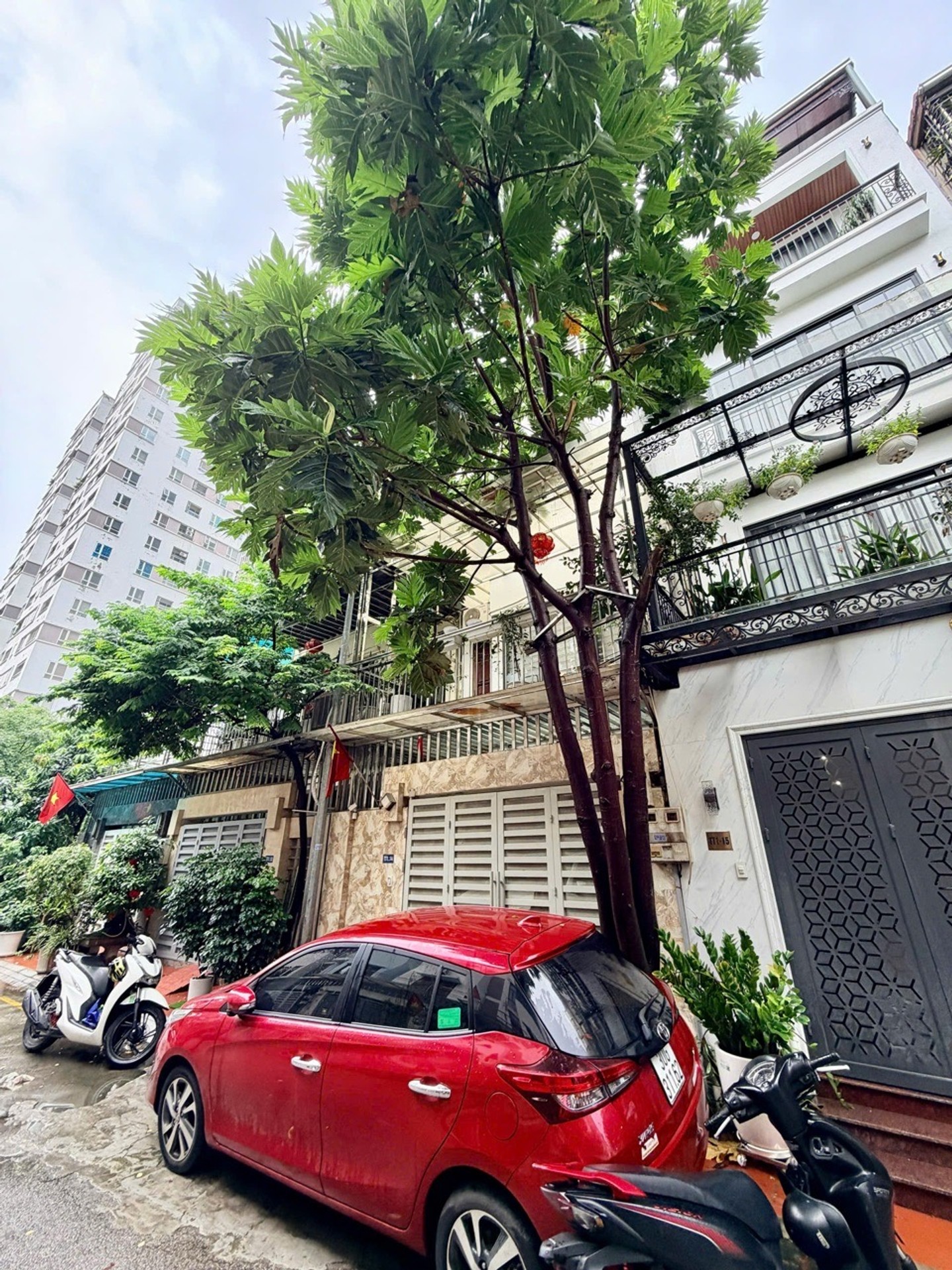 Ảnh đại diện