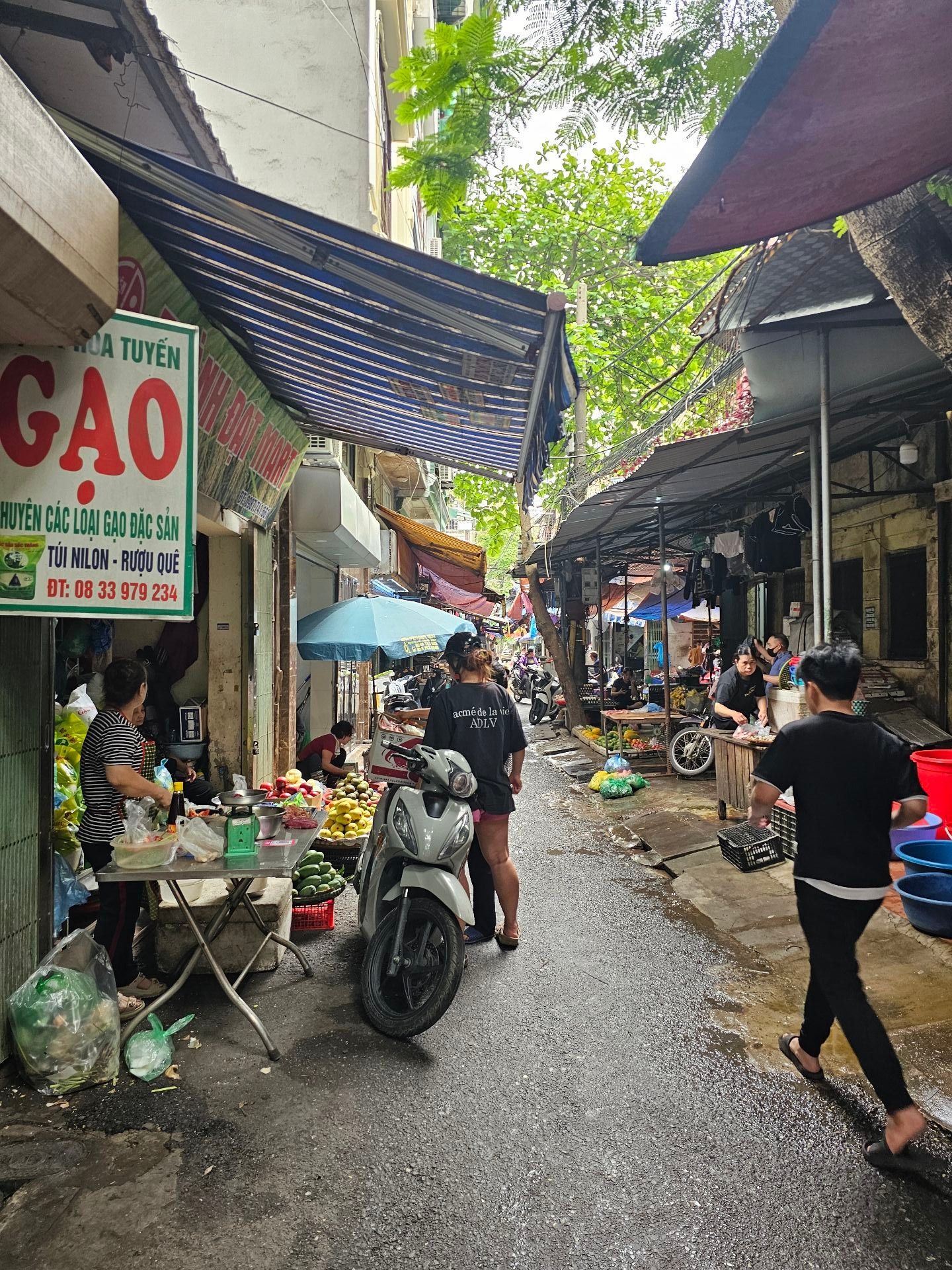 Ảnh đại diện
