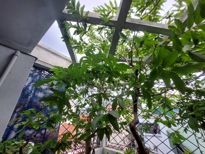 Bán nhà Định Công Hạ - diện tích 68m2 5 tầng - ô tô qua nhà - giá 13,3 tỷ