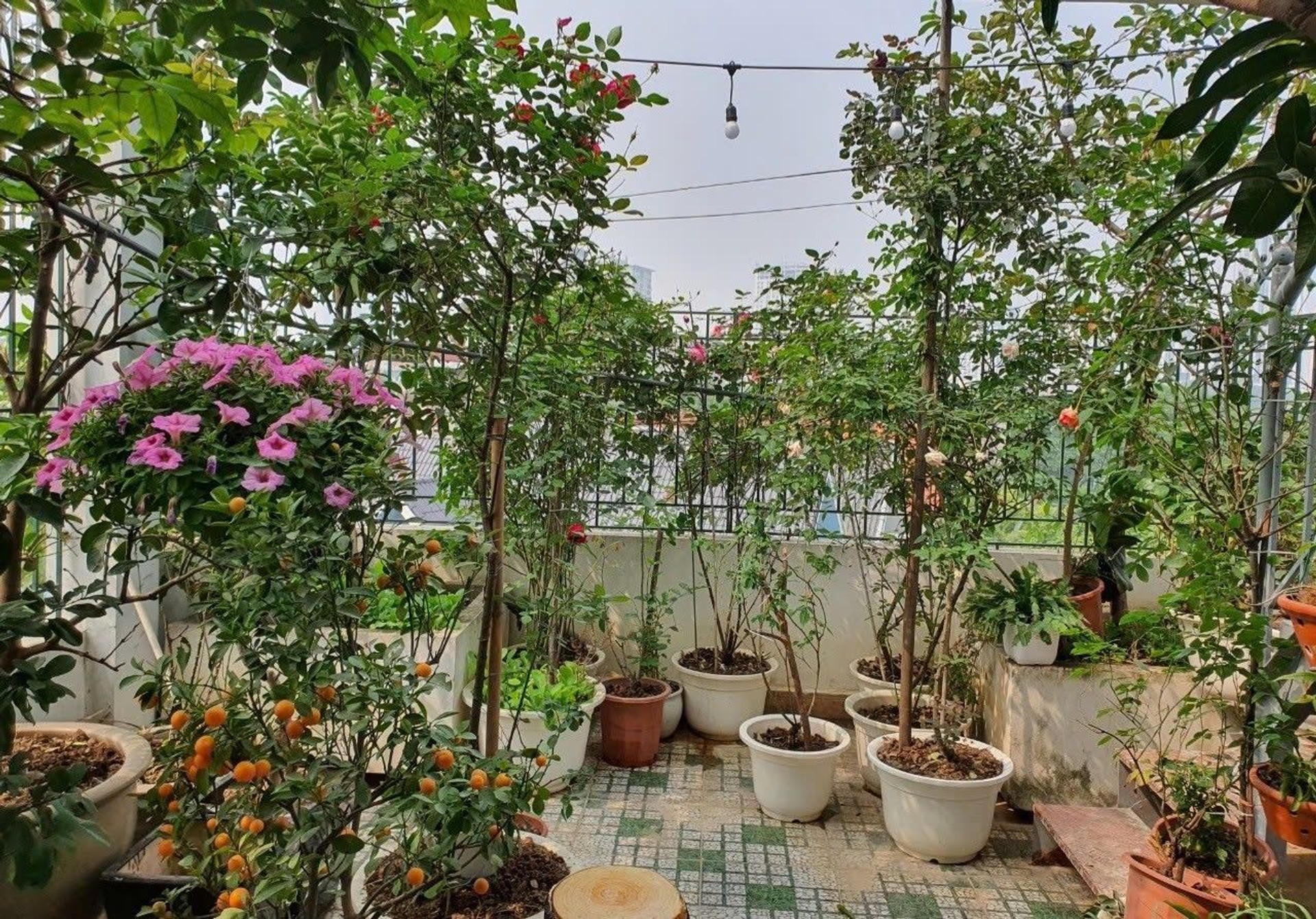 Bán nhà Nguyễn Khuyến - diện tích 75m2 6 tầng - Nhà đẹp hiếm có - giá 28 tỷ