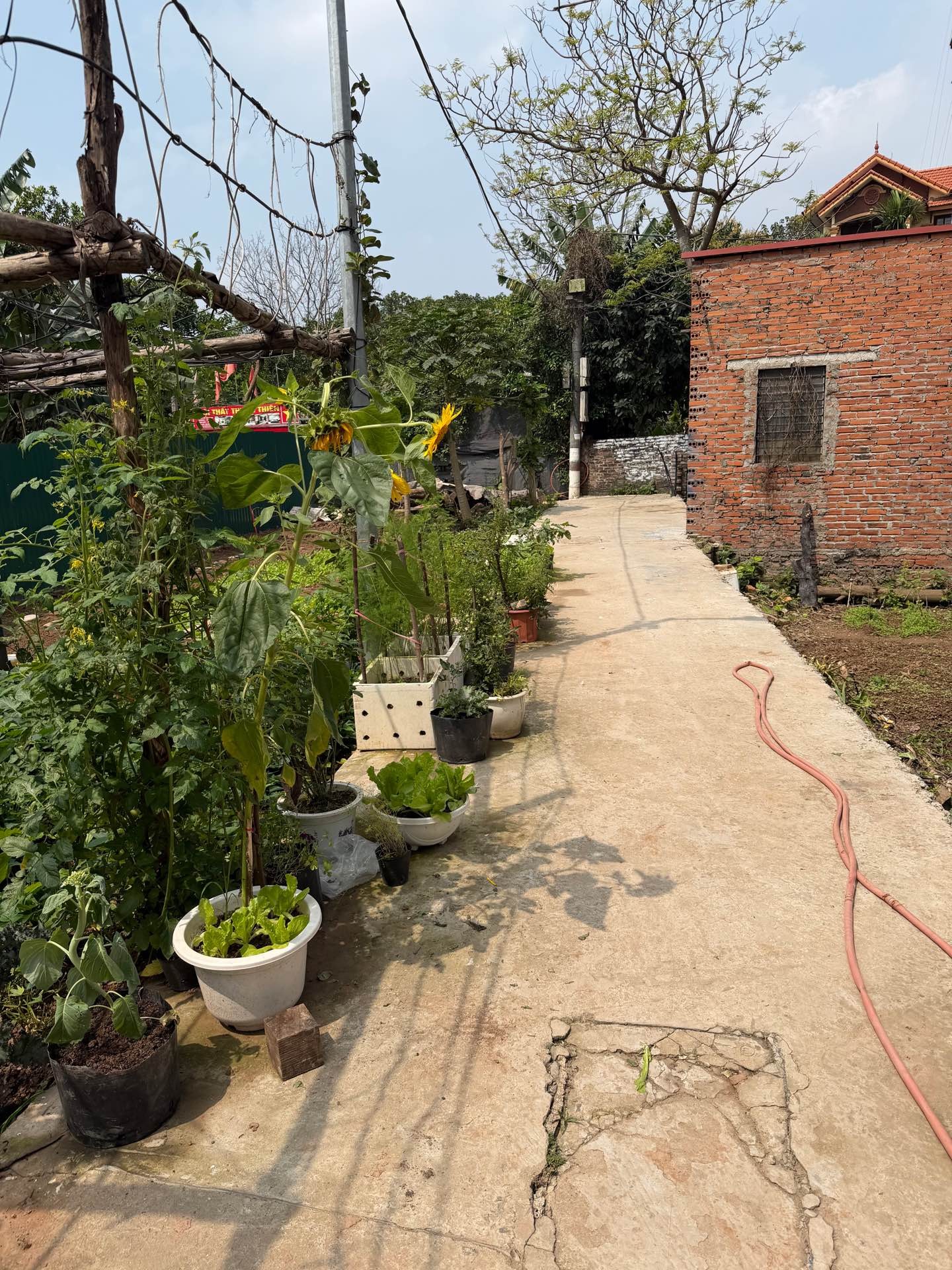 Bán nhà Thúy Lĩnh - diện tích 30m2 1 tầng - Ô Tô đỗ cổng - giá 3,9 tỷ