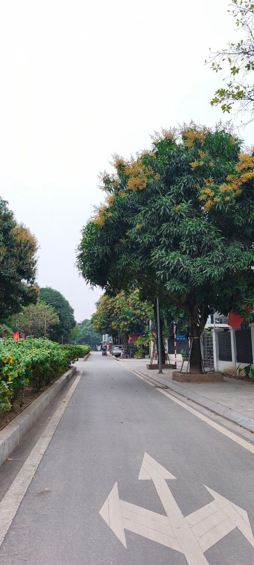 Bán nhà Ngõ 4 ô tô trở lên ( >11m) - diện tích 124m2 4 tầng - Lô góc 2 mặt thoáng - giá 39,8 tỷ