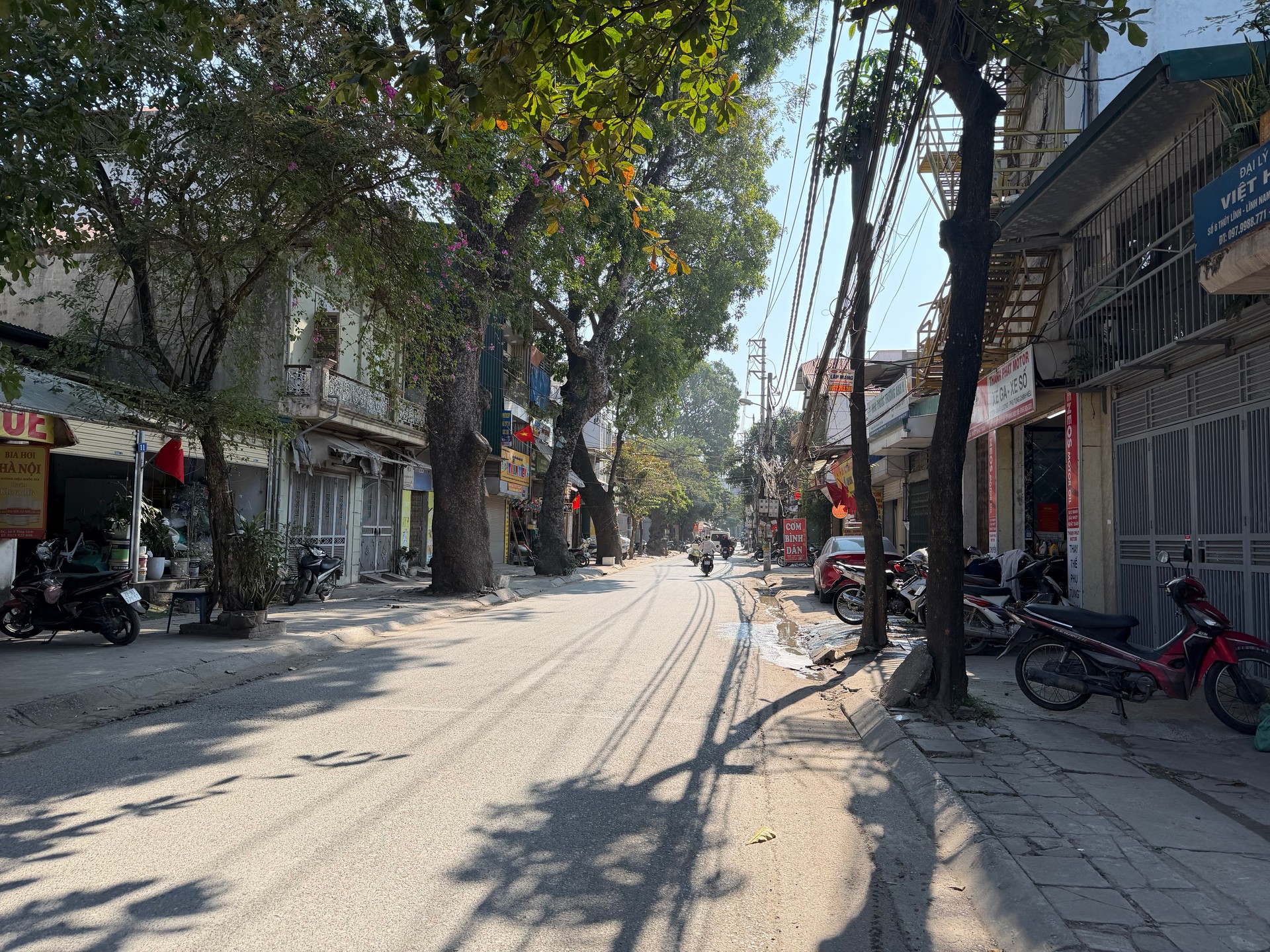 Ảnh đại diện