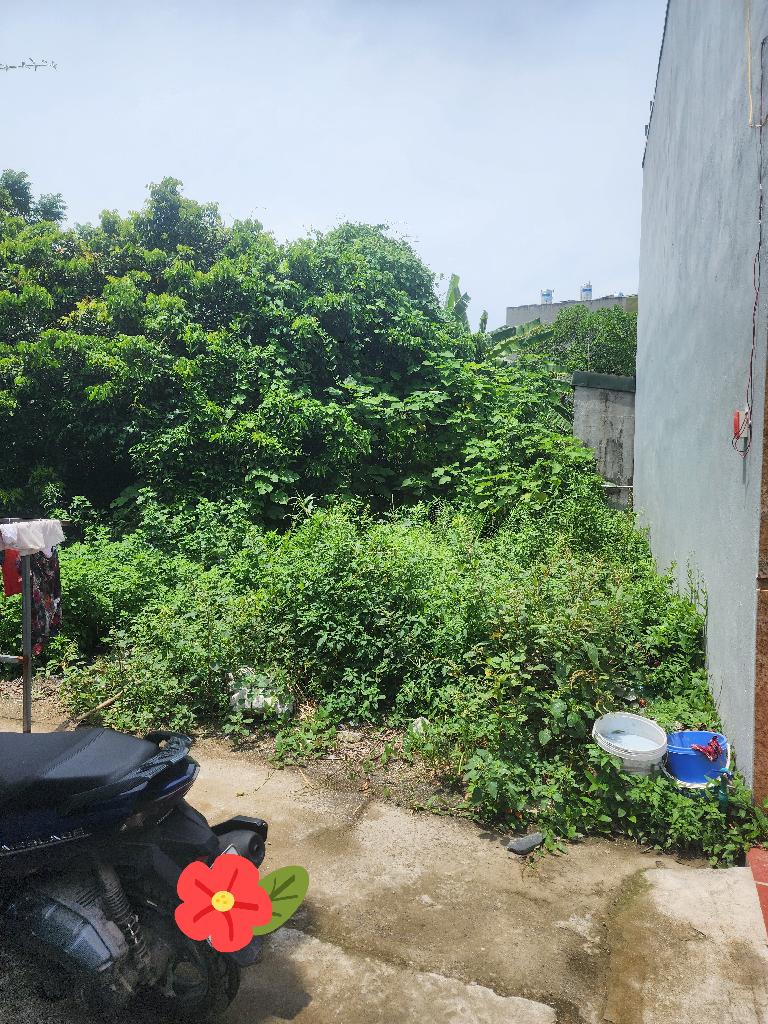 Bán nhà Đông Thiên - diện tích 55m2 1 tầng - ô tô đỗ trước đất - giá 2,5 tỷ