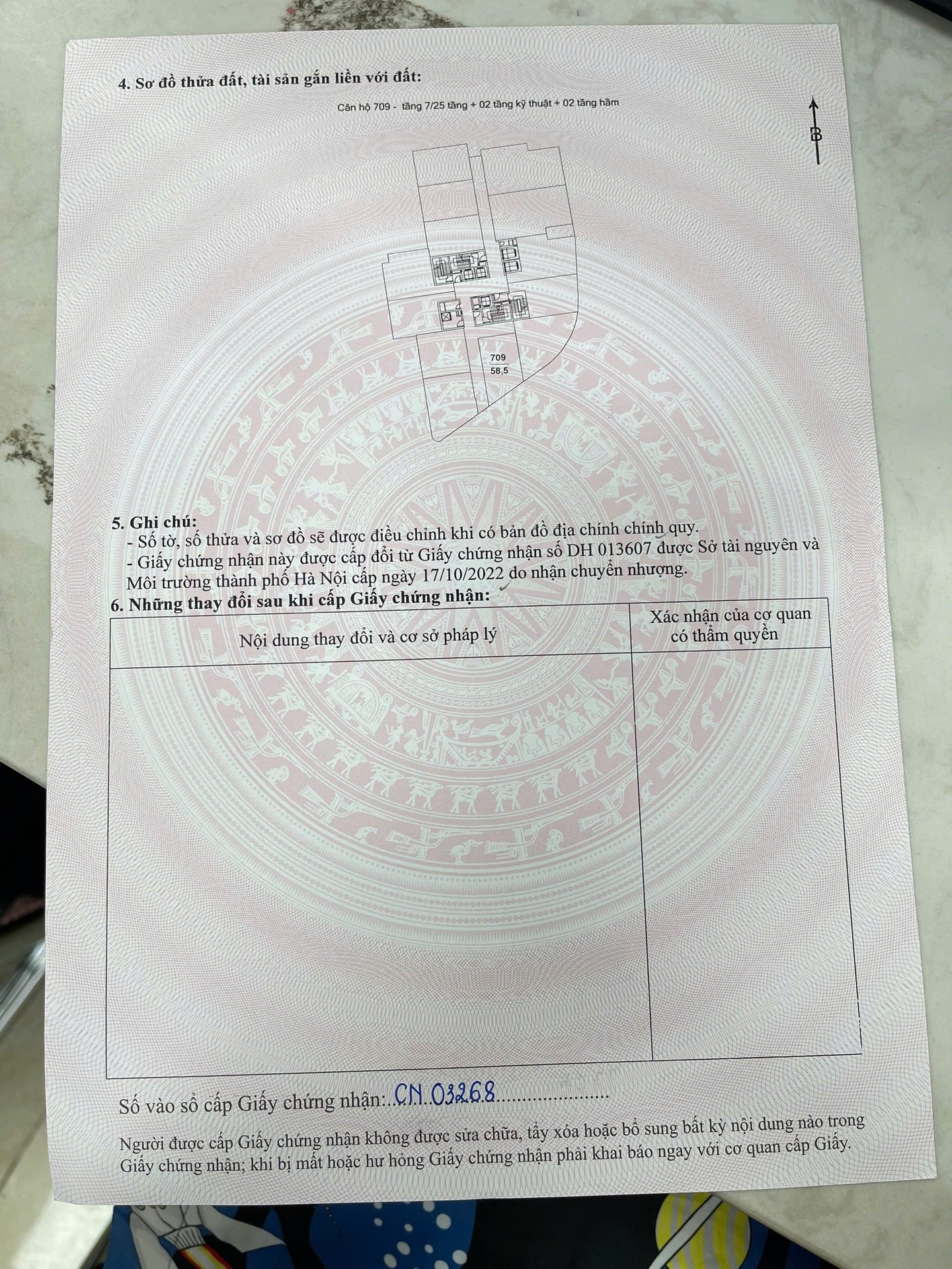 Ảnh đại diện