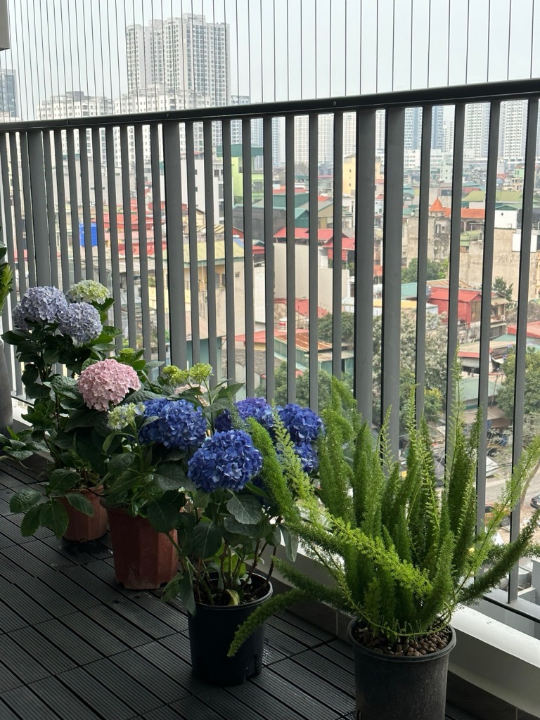 Bán nhà Hoàng Mai - diện tích 114m2 6 tầng - Căn góc sở hữu hai hướng view đẹp - giá 11,2 tỷ