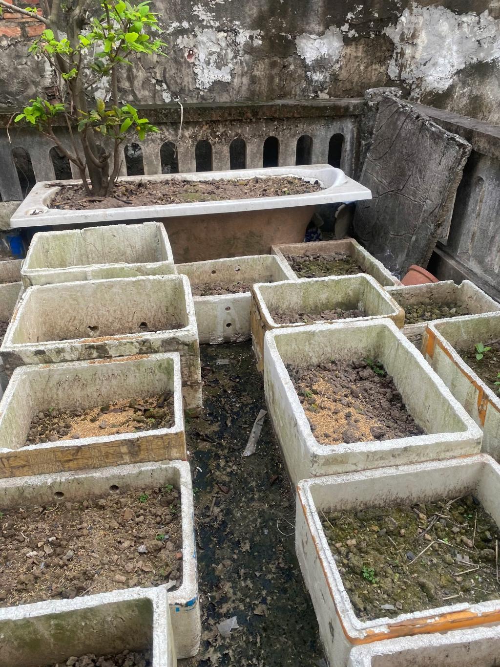 Bán nhà Kim Giang - diện tích 99m2 4 tầng - Phân lô ô tô vào nhà - giá 27 tỷ