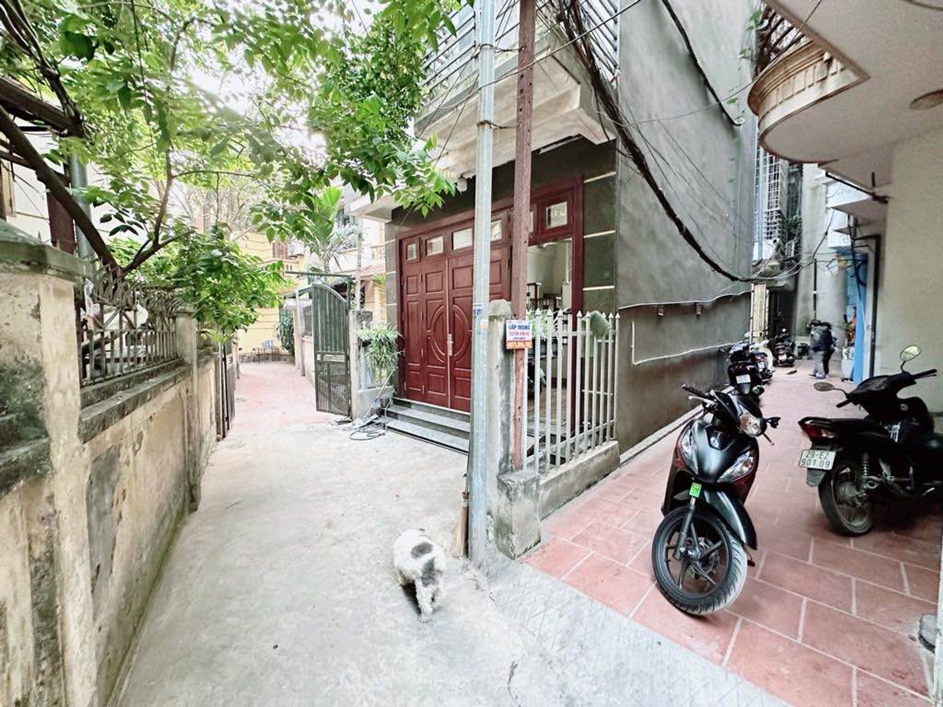 Ảnh đại diện