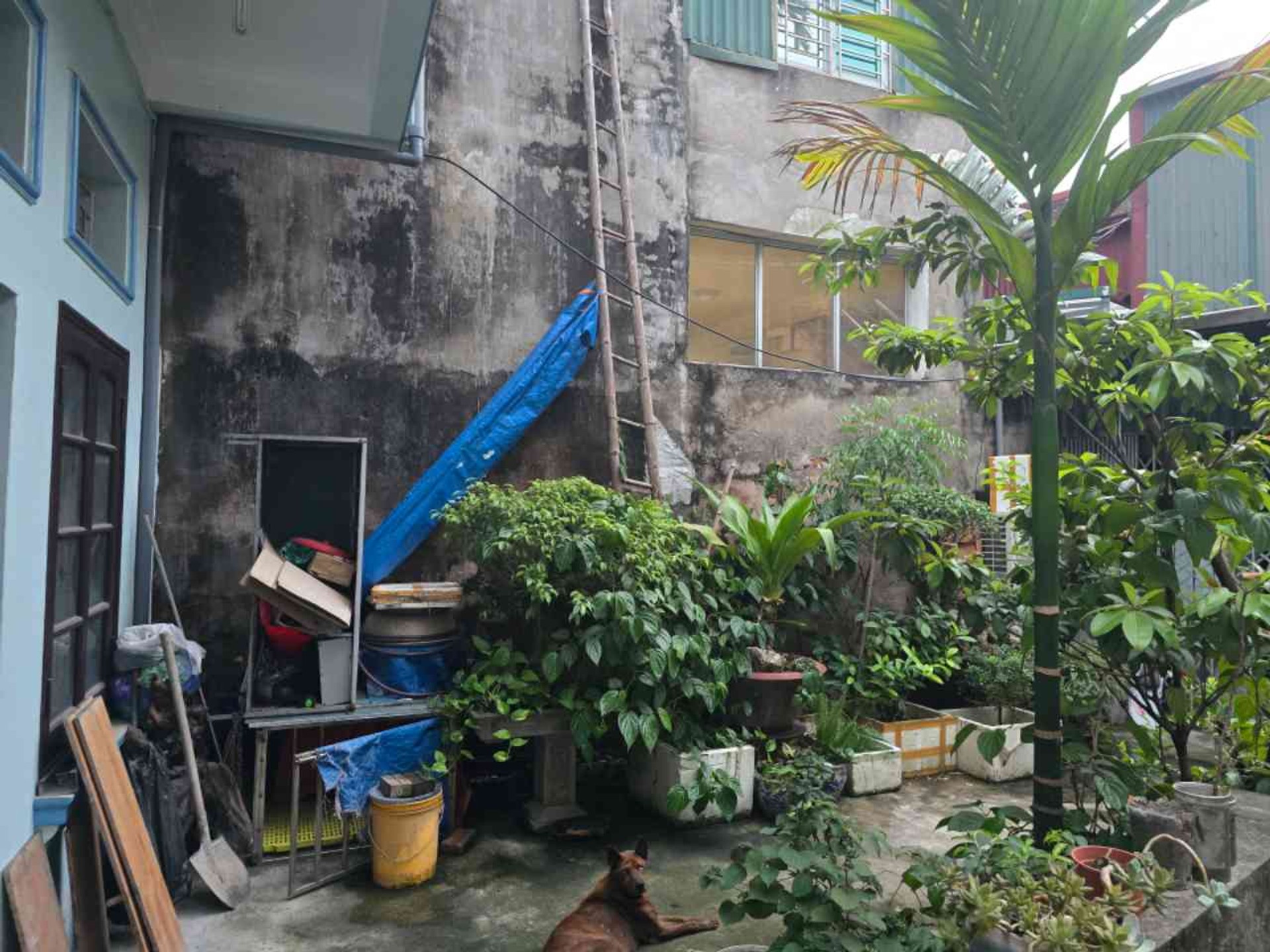 Bán nhà Trương Định - diện tích 146m2 2 tầng - Mặt phố kinh doanh sầm uất - giá 75 tỷ